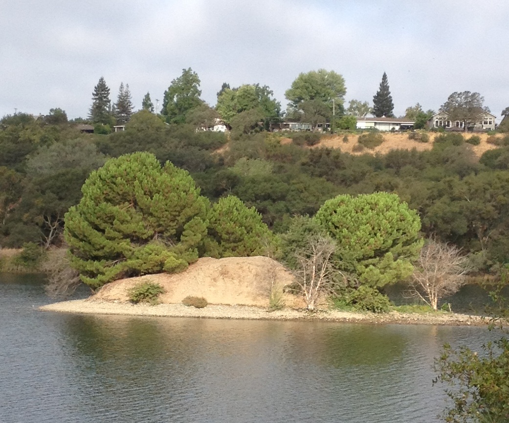 Lake_natoma_island - IMK