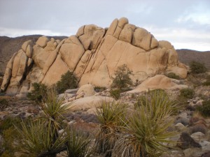 Granite outcropping in afternoon sun, Joshua Tree