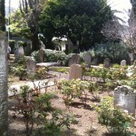 Mission Delores cemetery