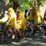 Chickens on bikes