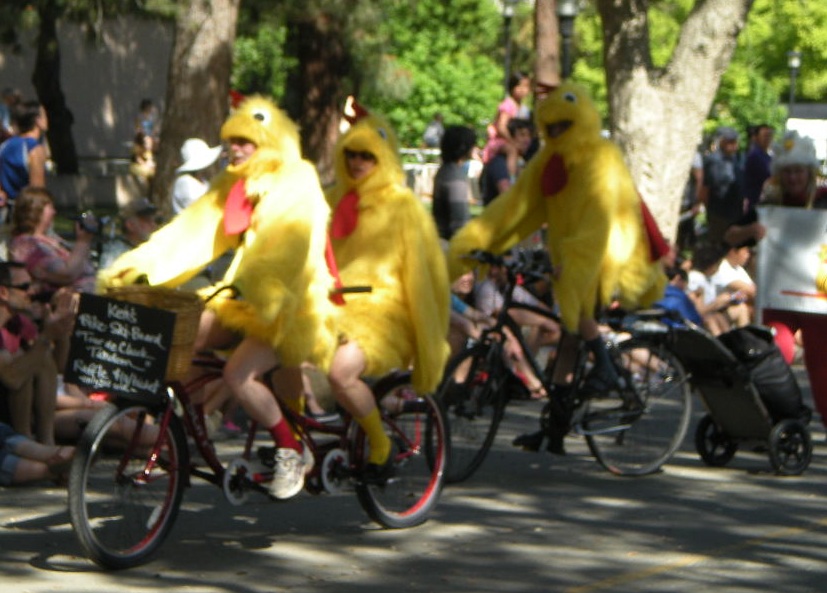 Chickens on bikes IMK
