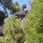 rock_climbing Marlette trail