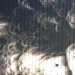 Eclipse shadows of oak tree