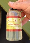 Calolea olive oil shampoo