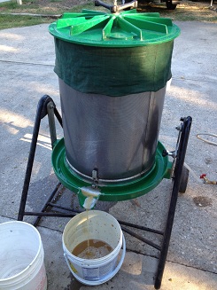 Crushing viognier wine grapes at Stescher Krommer Vineyards