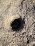 indian_grinding_hole