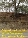 Orangevale_cut_soil_profile