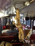 gibbons_bus_ride