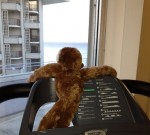 gibbons_treadmill