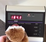 gibbons_weigh_in