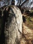 lichen_moss_covered_granite