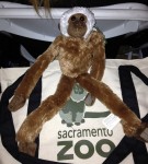 sacramento_zoo_monkey