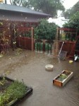 backyard_creek_flow_flood