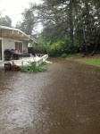 backyard_houseboat_flood