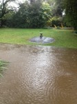 backyard_lake_flood