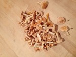 Mainly hedgehog with a few winter chanterelles to be cooked up.