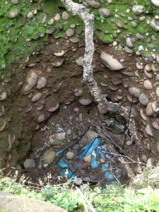 Clearly visible inside the ridge pit are the round cobble stones and trash at the bottom of the hole.