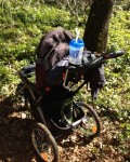 abandoned_baby_stroller