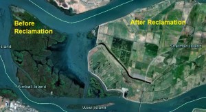 Satellite image of what the Delta used to look like before reclamation of islands
