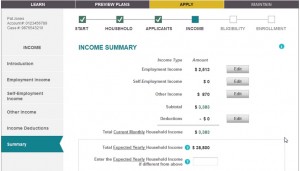 Website will give income summary and allows for edits.