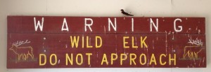 elk_warning