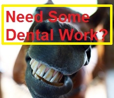 Need some dental work? New California dental plans.