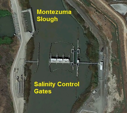 salinity_control_gates