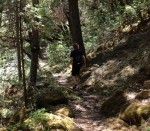 Humbug Trail is nice and shady. A really nice hike.
