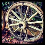 wagon_wheel