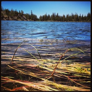 water_grass_round_lake