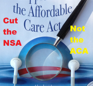 Defund the NSA not the ACA.