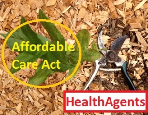Health insurance agents want to cut the roots of the ACA flower before it has had a chance to bloom.