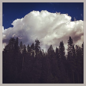 cumulus_clouds_above_conifers