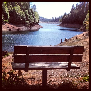 Numerous benches line the Paradise Lake path.