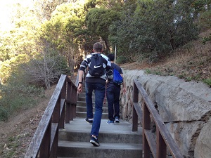 hiking_to_sutro_tower