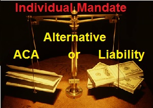 Individual Mandate Alternative