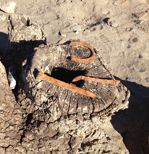 Rusty gold rush artifacts revealed at Folsom Lake low water levels