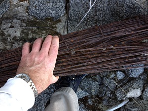 Measuring suspension cable on Anderson Island by hand.