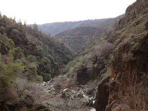 Looking west in Knickerbocker Canyon.