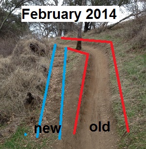 The beginning of new trail being cut by mountain bikes at Folsom Lake.
