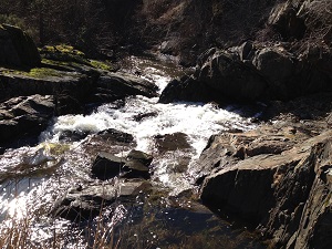 Knickerbocker creek upper waterfall area.
