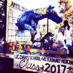 Aggie Mustang leaping though the 2014 calendar, Picnic Day Vet Med Student float.
