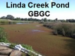Linda Creek Pond at the Granite Bay Golf Course