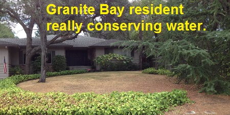 One of many Granite Bay residents who have let their grass die back to conserve water.
