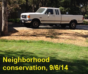 Does one neighbor's water conservation efforts enable another to over water?