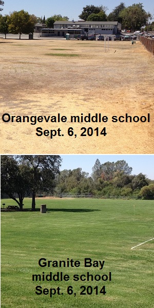 Less than 8 miles apart, one school has let turf die while another school has lush green playing field during the drought.