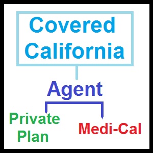 Agents enroll for both private plans and Medi-Cal.