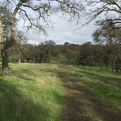 Peninsula trails are nice and wide and ideal for long hikes without having to think about obstacles.