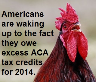 Can excess ACA tax credits be considered a short term loan?