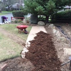 Killing grass with wrapping paper and mulch